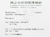 登錄號:F0020284藏品圖，第3張