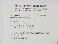 登錄號:F0020285藏品圖，第2張