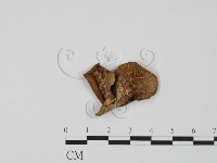 登錄號:F0020285藏品圖，第1張