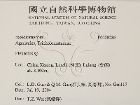 登錄號:F0020286藏品圖，第2張