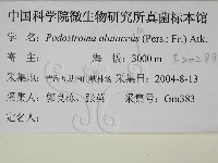 登錄號:F0020288藏品圖，第2張