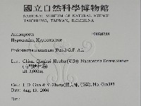 登錄號:F0020288藏品圖，第3張