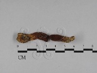 登錄號:F0020288藏品圖，第1張