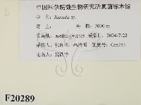 紅菇屬藏品圖，第2張