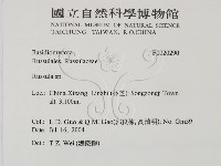 紅菇屬藏品圖，第2張