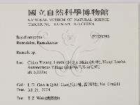 紅菇屬藏品圖，第2張