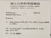 紅菇屬藏品圖，第2張