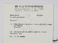 紅菇屬藏品圖，第2張