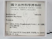 紅菇屬藏品圖，第2張