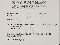紅菇屬藏品圖，第2張