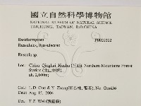 紅菇屬藏品圖，第2張