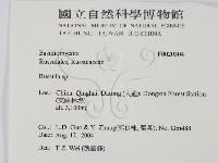 紅菇屬藏品圖，第2張