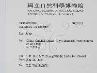 紅菇屬藏品圖，第2張