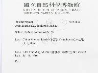 裂褶菌藏品圖，第3張
