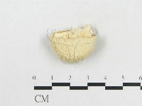登錄號:F0020307藏品圖，第4張
