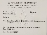 登錄號:F0020308藏品圖，第2張