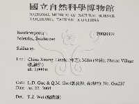 登錄號:F0020309藏品圖，第2張