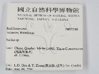 登錄號:F0020310藏品圖，第2張