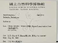 登錄號:F0020311藏品圖，第2張