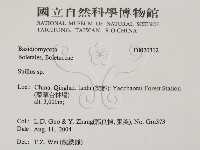 登錄號:F0020312藏品圖，第2張