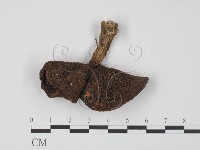 登錄號:F0020312藏品圖，第1張