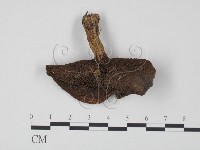 登錄號:F0020312藏品圖，第3張