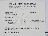 登錄號:F0020313藏品圖，第2張