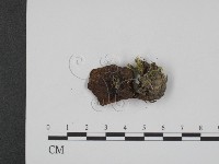 登錄號:F0020314藏品圖，第3張