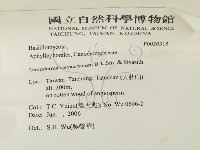 登錄號:F0020315藏品圖，第2張