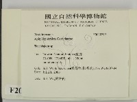登錄號:F0020317藏品圖，第2張