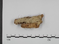 登錄號:F0020317藏品圖，第1張