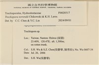 登錄號:F0020317藏品圖，第3張