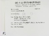 刺皮菌屬藏品圖，第2張