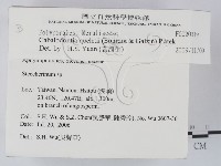 登錄號:F0020319藏品圖，第2張