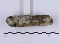 登錄號:F0020319藏品圖，第3張