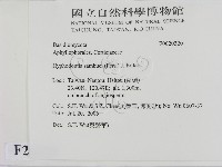 冇骨消絲齒菌藏品圖，第2張