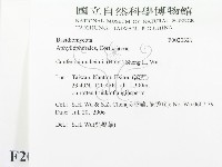 登錄號:F0020321藏品圖，第2張