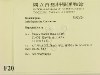 登錄號:F0020324藏品圖，第2張