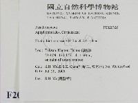 登錄號:F0020326藏品圖，第2張