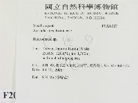 刺皮菌屬藏品圖，第2張