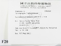 登錄號:F0020328藏品圖，第2張