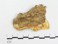 登錄號:F0020328藏品圖，第3張