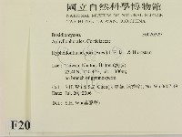 登錄號:F0020329藏品圖，第2張