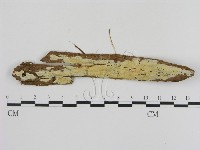 登錄號:F0020329藏品圖，第1張