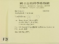 登錄號:F0020330藏品圖，第2張
