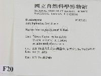 登錄號:F0020331藏品圖，第2張