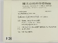 登錄號:F0020332藏品圖，第2張