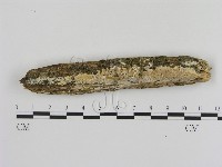 登錄號:F0020332藏品圖，第1張