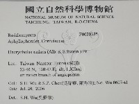 登錄號:F0020335藏品圖，第2張