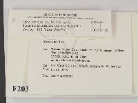 登錄號:F0020337藏品圖，第2張
